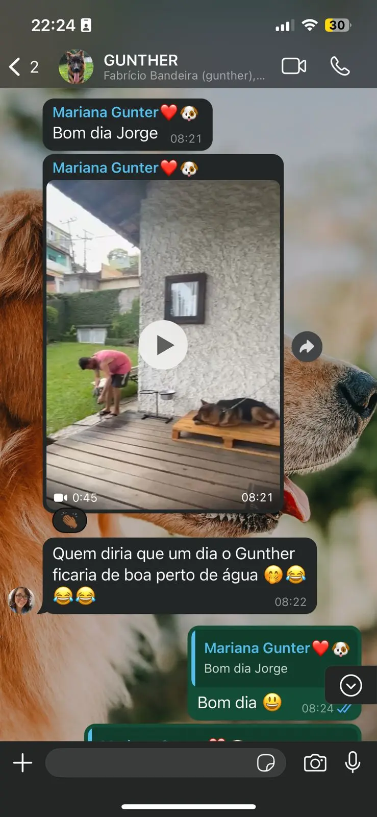 (30) WhatsApp Business (1)