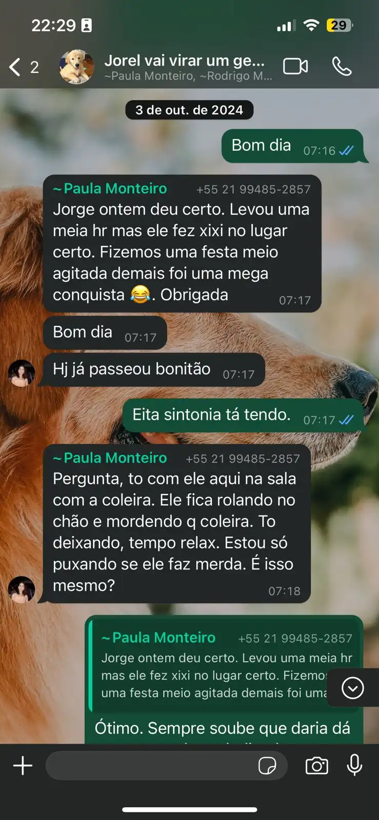 (30) WhatsApp Business (2)