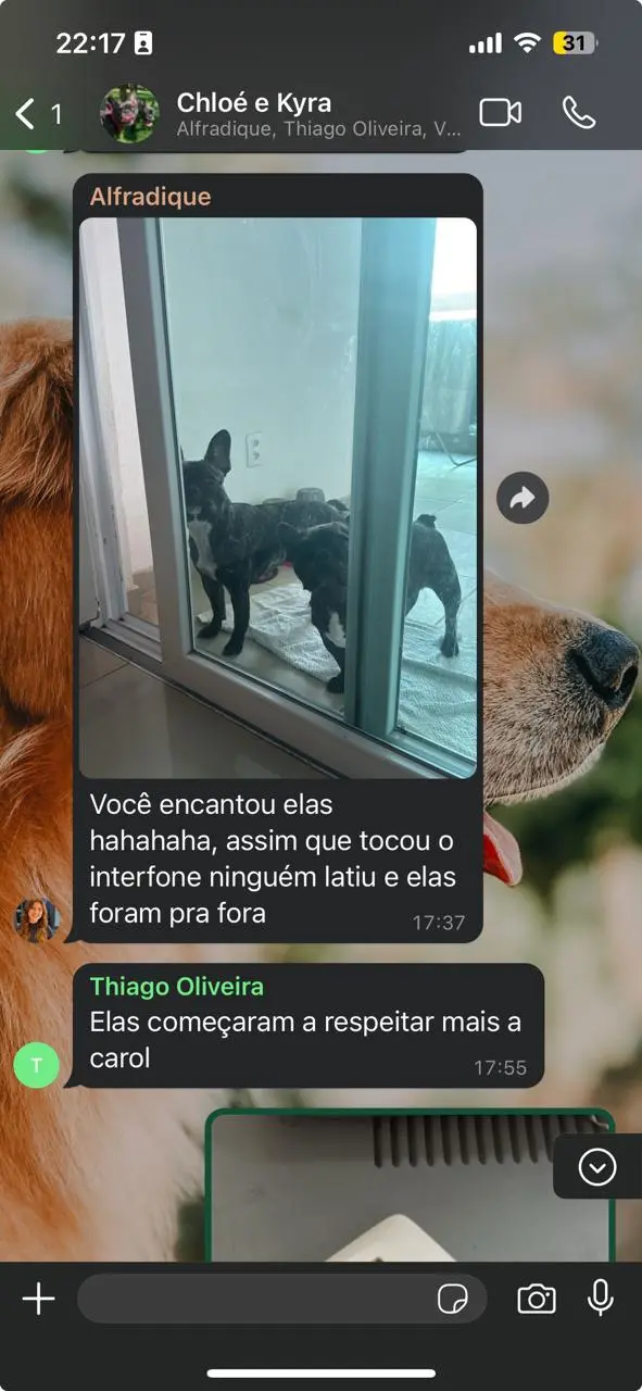 (30) WhatsApp Business